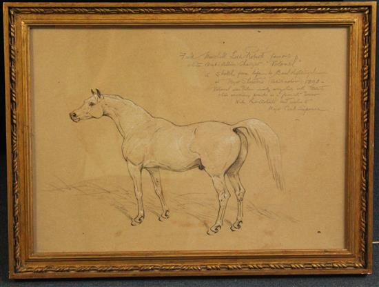 Basil Nightingale (1860-1940) Study of Field Marshall Lord Roberts stallion Volonel, 14 x 19in.